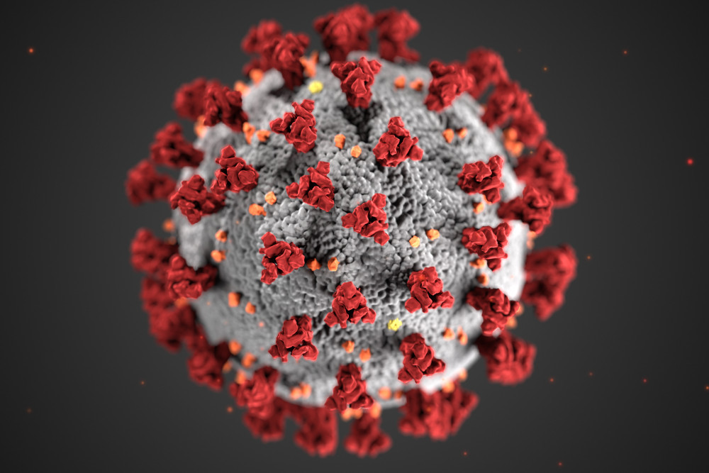 This CDC illustration shows ultrastructural morphology exhibited by coronaviruses. Note the spikes that adorn the outer surface of the virus